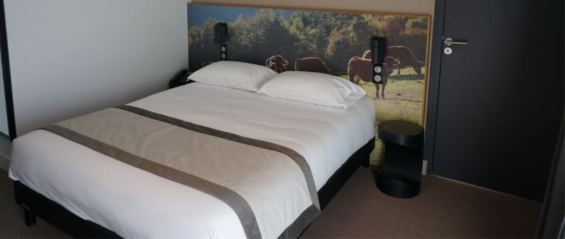 The Originals Relais Hotel Saint-Roch Salzuit Exteriör bild